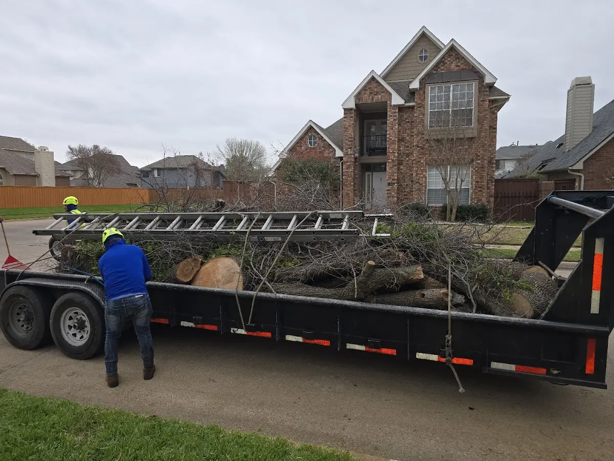 Expert Lot Clearing with proper safety equipment in Crawford